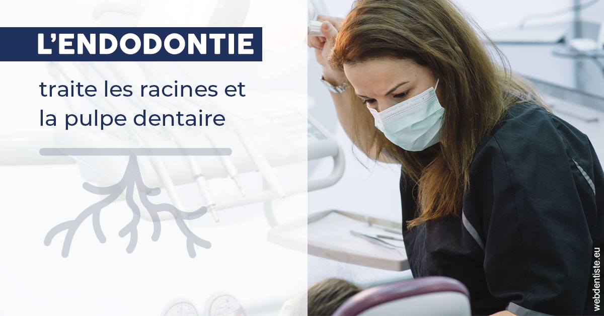 https://scp-des-docteurs-ollu-et-renaud.chirurgiens-dentistes.fr/L'endodontie 1