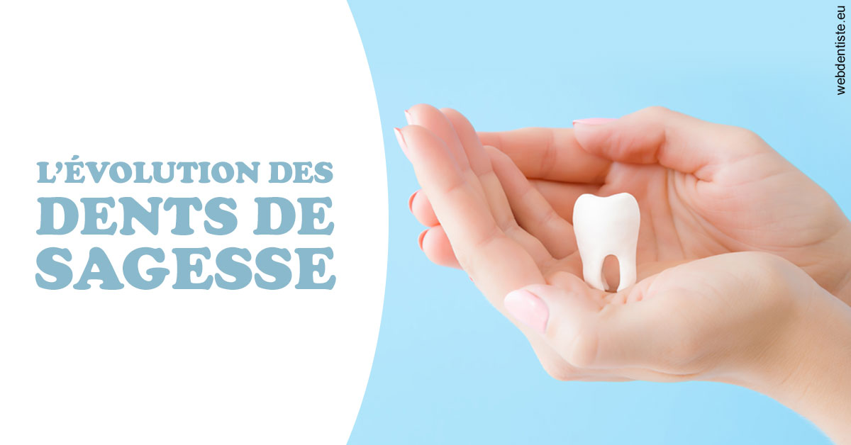 https://scp-des-docteurs-ollu-et-renaud.chirurgiens-dentistes.fr/Evolution dents de sagesse 1