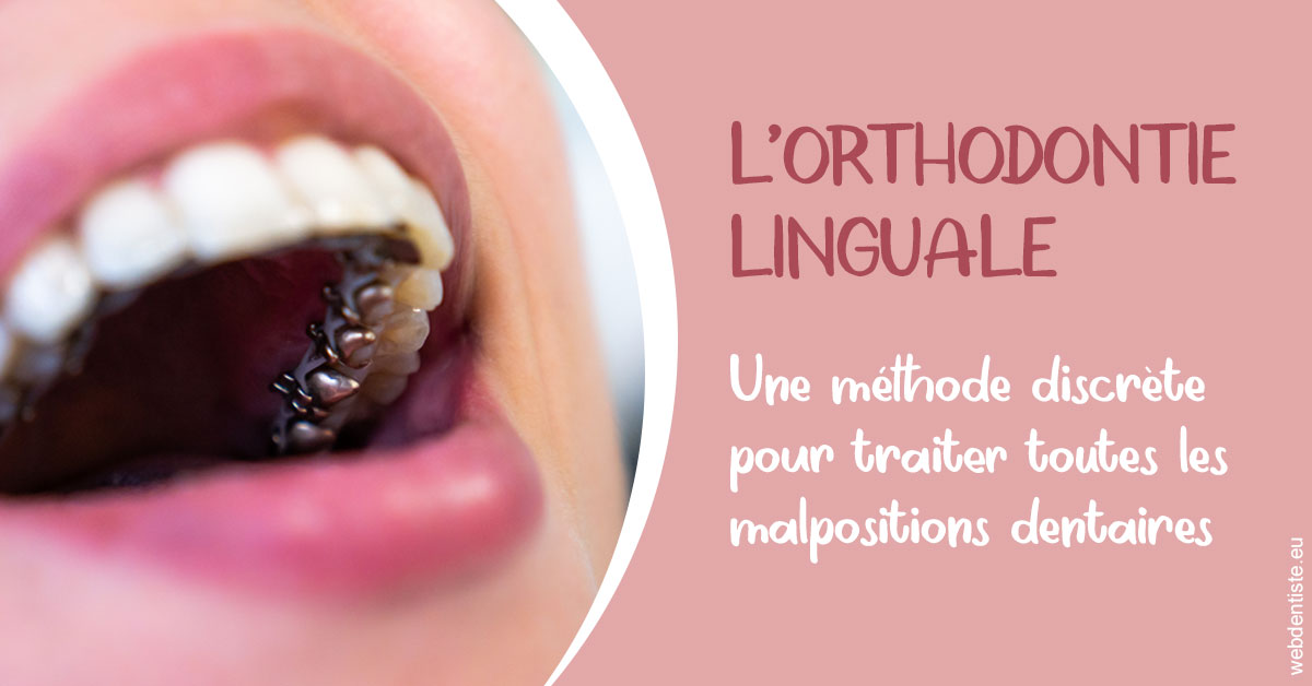 https://scp-des-docteurs-ollu-et-renaud.chirurgiens-dentistes.fr/L'orthodontie linguale 2