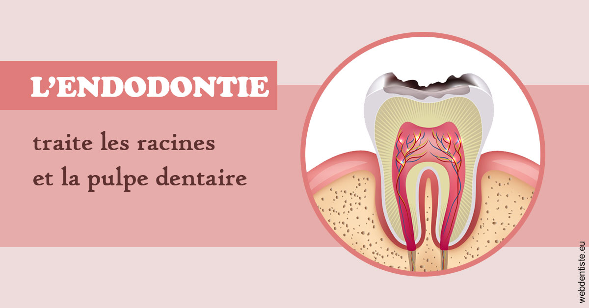 https://scp-des-docteurs-ollu-et-renaud.chirurgiens-dentistes.fr/L'endodontie 2
