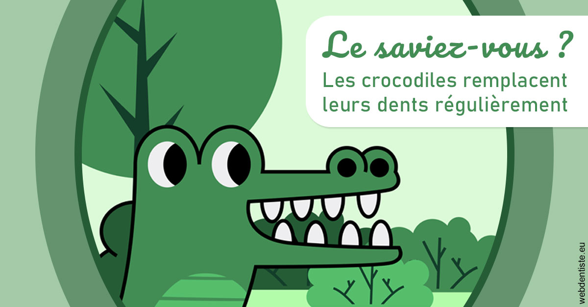 https://scp-des-docteurs-ollu-et-renaud.chirurgiens-dentistes.fr/Crocodiles 2