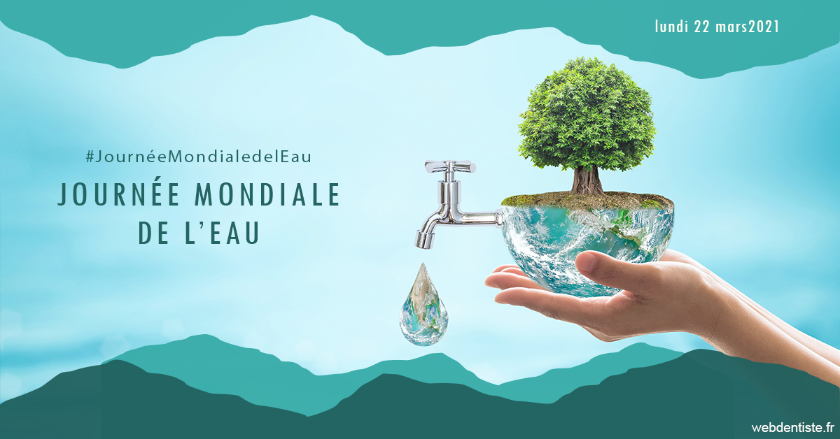 https://scp-des-docteurs-ollu-et-renaud.chirurgiens-dentistes.fr/Journée de l'eau 1