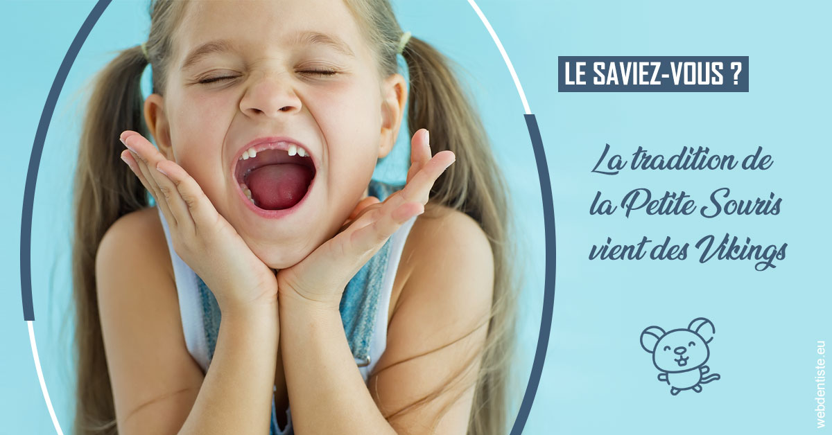 https://scp-des-docteurs-ollu-et-renaud.chirurgiens-dentistes.fr/La Petite Souris 1