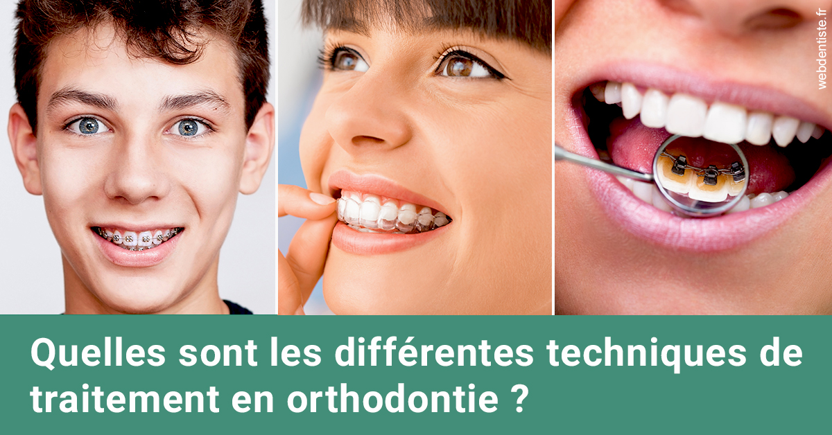 https://scp-des-docteurs-ollu-et-renaud.chirurgiens-dentistes.fr/Les différentes techniques de traitement 2