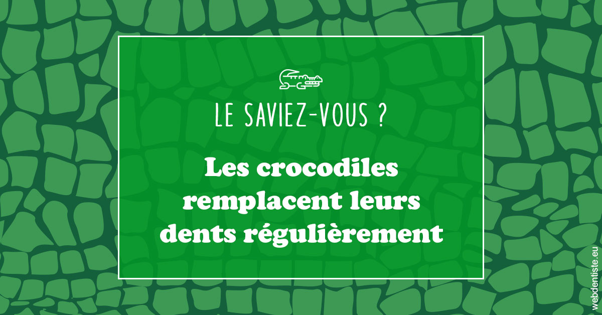 https://scp-des-docteurs-ollu-et-renaud.chirurgiens-dentistes.fr/Crocodiles 1